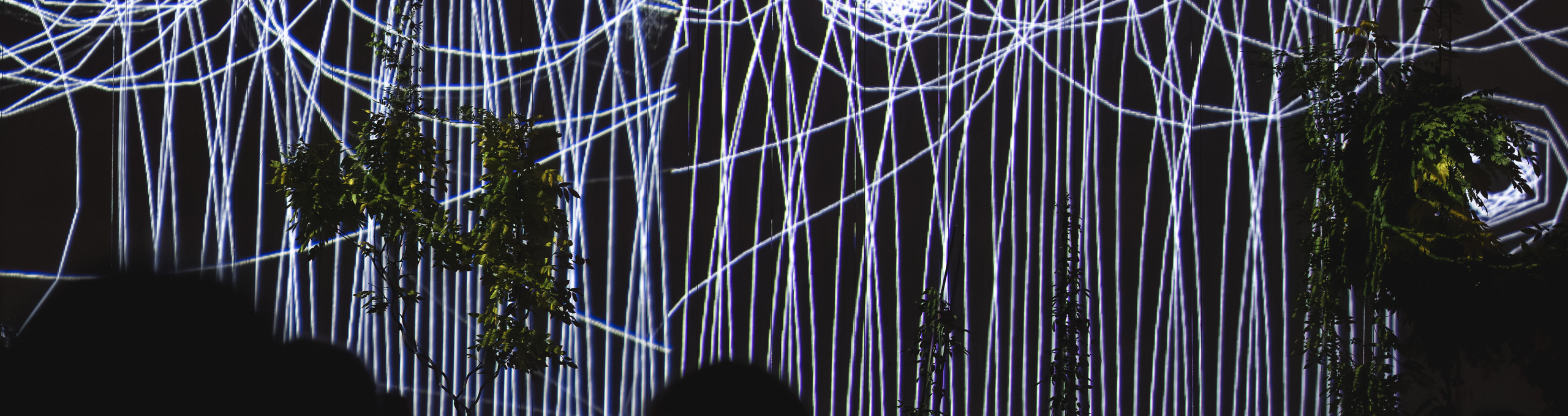 Abstrakte Linien und Formen der interaktiven Installation „Flora“ von Philipp Artus
