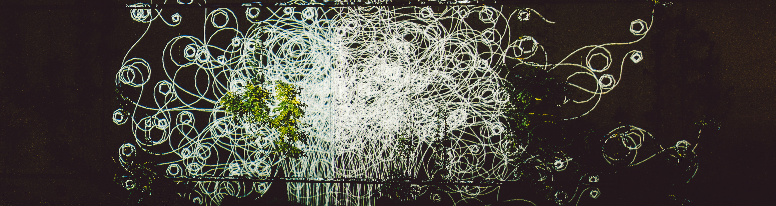 Abstrakte Linien und Formen der interaktiven Installation „Flora“ von Philipp Artus