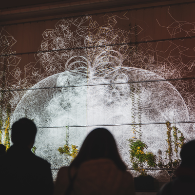 Abstrakte Linien und Formen der interaktiven Installation „Flora“ von Philipp Artus